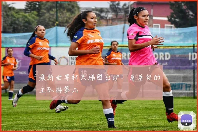 最新世界杯天梯图出炉!看看你的主队排第几