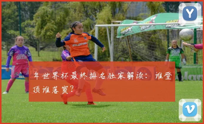 年世界杯最终排名独家解读：谁登顶谁落寞？