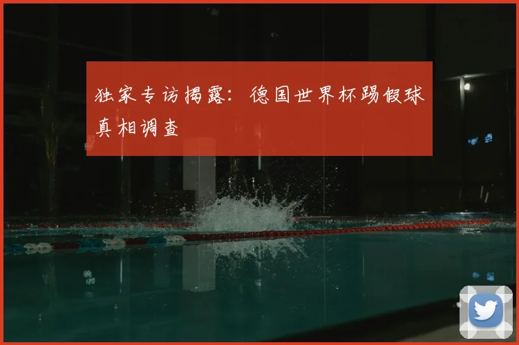 独家专访揭露：德国世界杯踢假球真相调查
