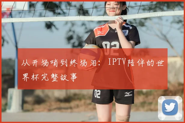 从开场哨到终场泪：IPTV陪伴的世界杯完整故事